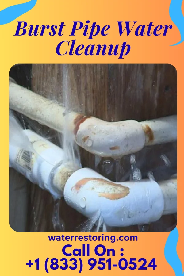 Burst Pipe Water Cleanup in Lemay, MO